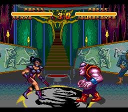 Double Dragon V: The Shadow Falls